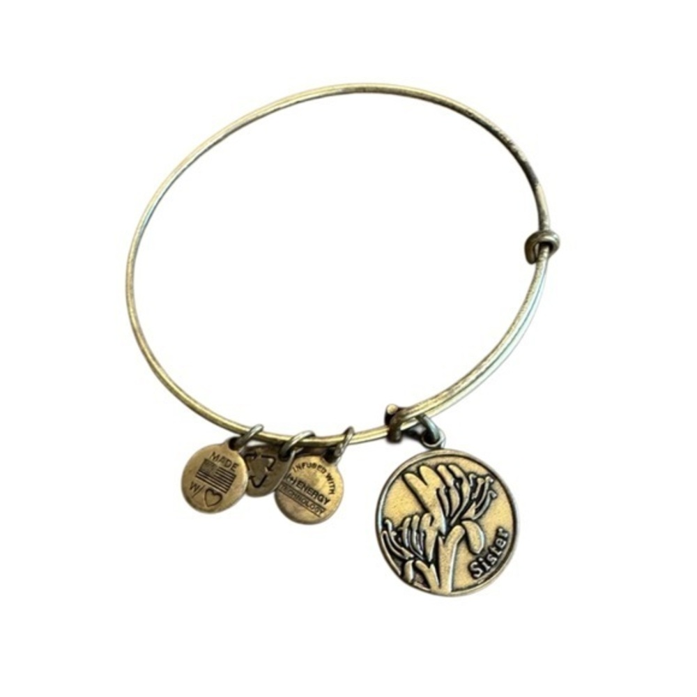 Alex and Ani Gold Sister Charm Bracelet